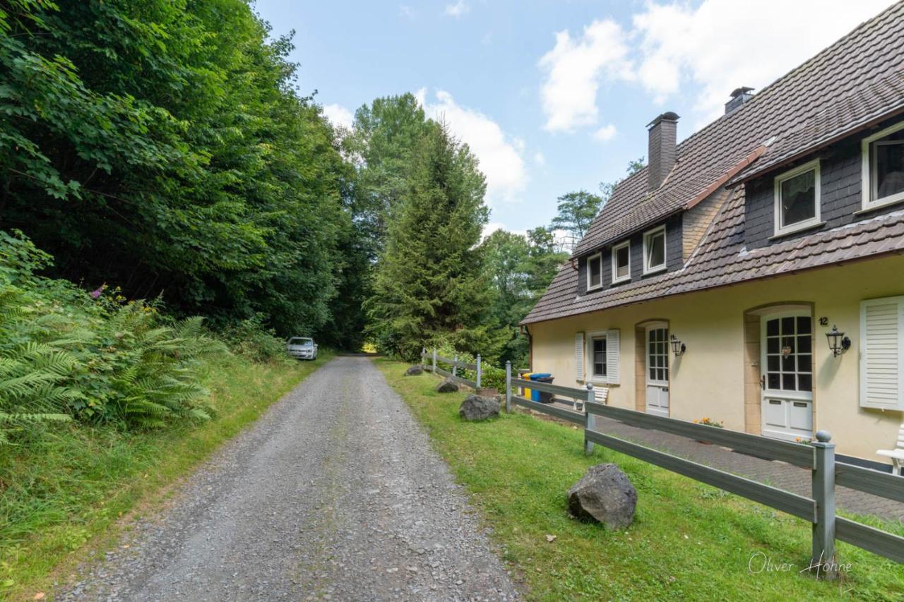 Ferienwohnung Am Waldrand Bad Laasphe Extérieur photo